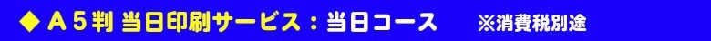 A5判当日印刷サービス:当日コース