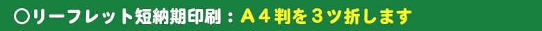 いろは株式会社のパンフレット作成コンセプトは、お客様のお客様に対して、①魅力ある情報を伝える ②リアルタイムな旬な情報を発信する ③早く!安オンデマンド:リーフレット 3ツ折です
