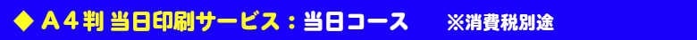 Ａ４判 当日印刷サービス：当日コース
