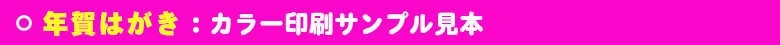 いろは株式会社の年賀はがき印刷は、パターン見本が豊富で大変便利です。価格も激安です。