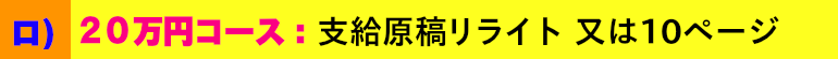 イ）１０万円コース：(２～３ページ位の情報量ホームページ)
