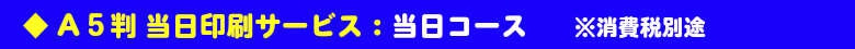 A5判当日印刷サービス:当日コース