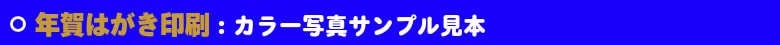 いろは株式会社の年賀はがき印刷は、激安・超短納期で印刷しています。